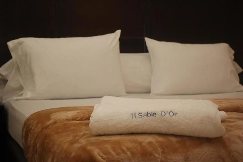 Hôtel Sable dOr