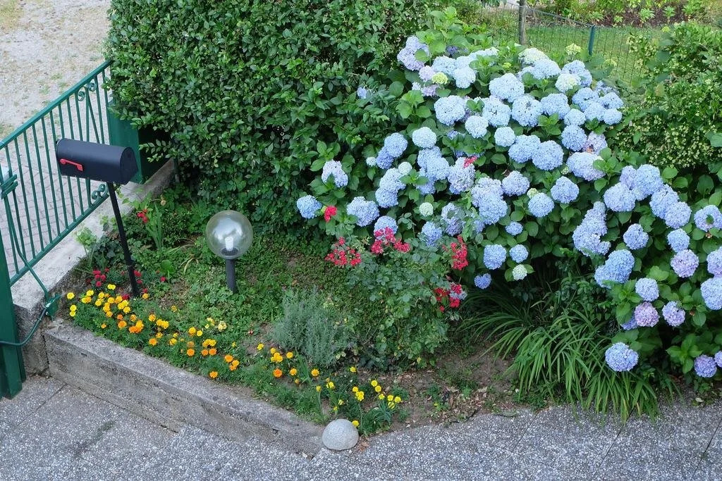 Aria di Casa B&B