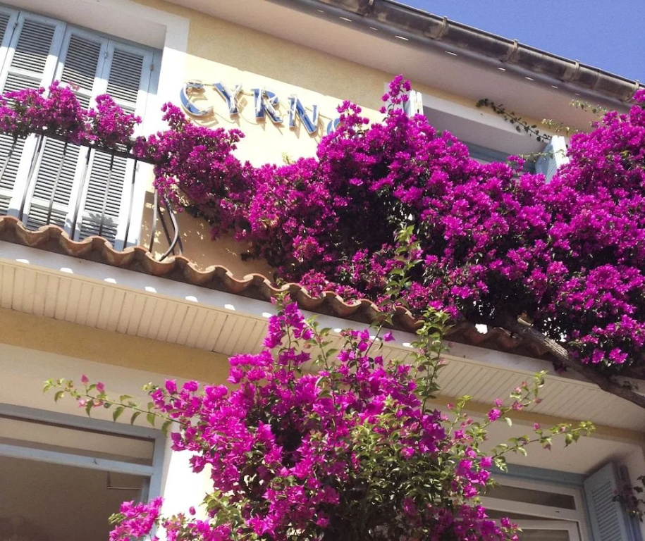 Hotel Cyrnos