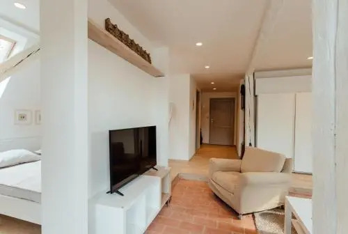 Boutique apartments - Central Old Town