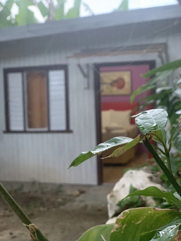 The Cottage