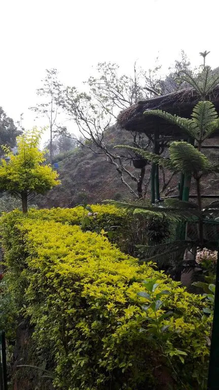 Green House