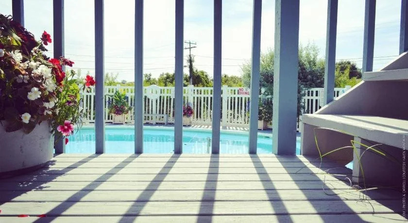 Haven Montauk