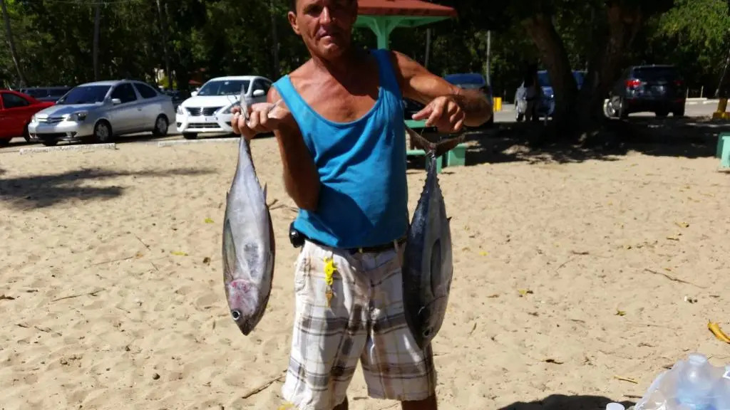 Casa de Playa A-1