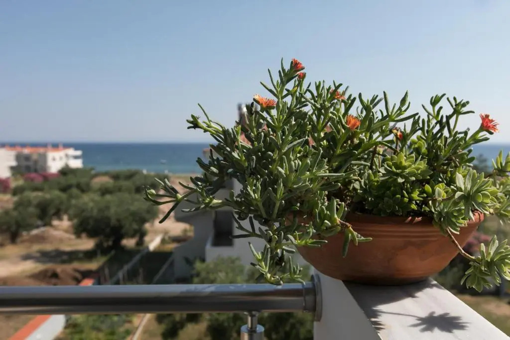 The House Of The Roses Seaview Superior Maisonette 2
