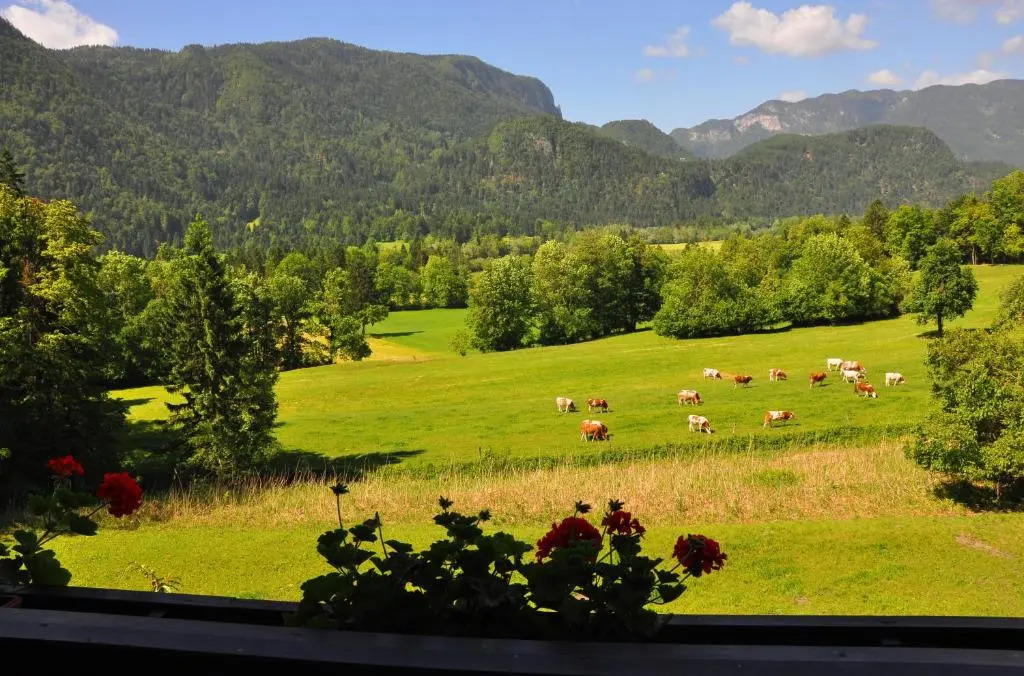 Nature Hotel Lukanc