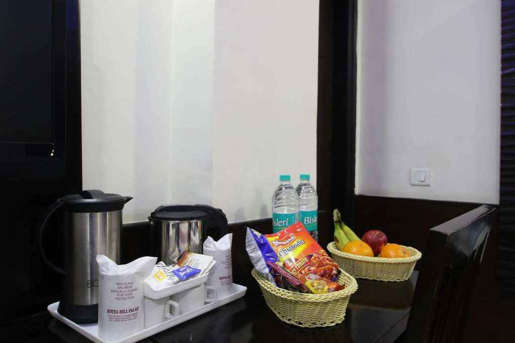 Hotel Hill Palace -Near Karol Bagh Metro Station