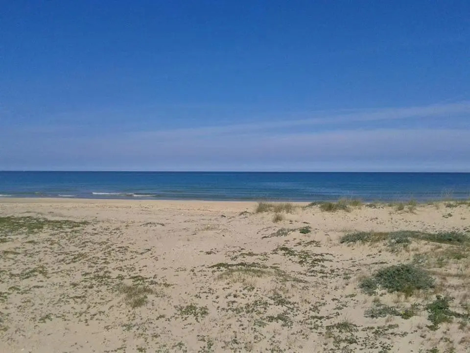 Alba Sea House