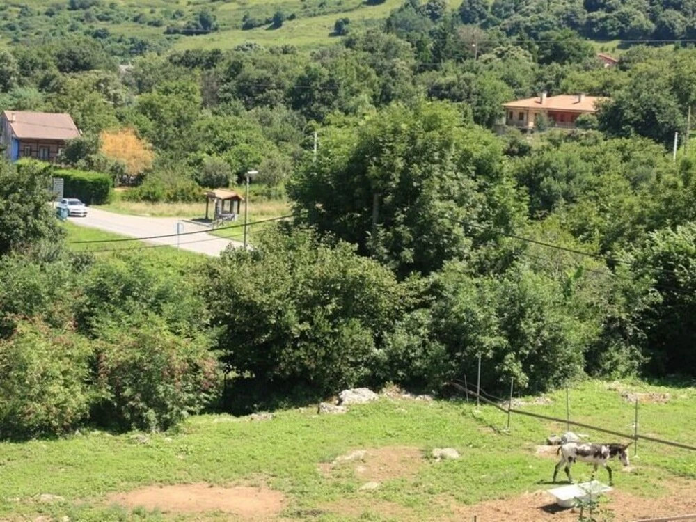 Pita Pinuca