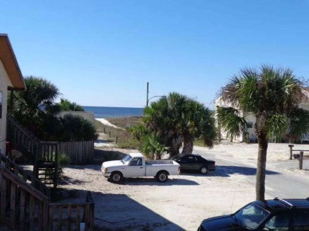 Sand Dollar