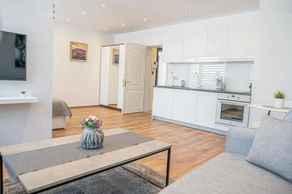 Shushi's Central Studio Apartment