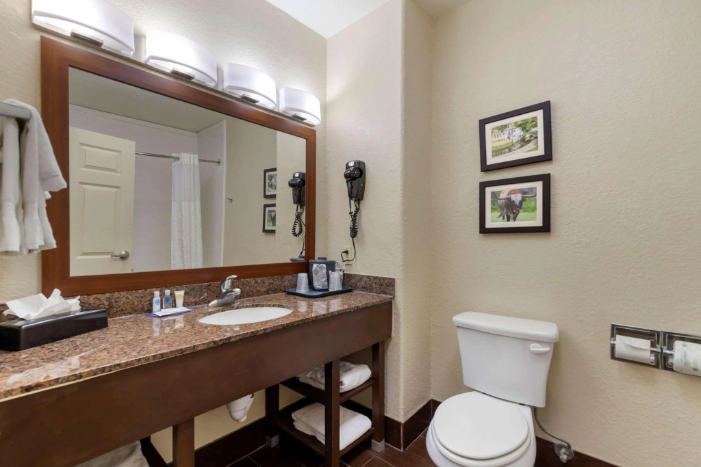 Comfort Inn & Suites Near Six Flags & Medical Center