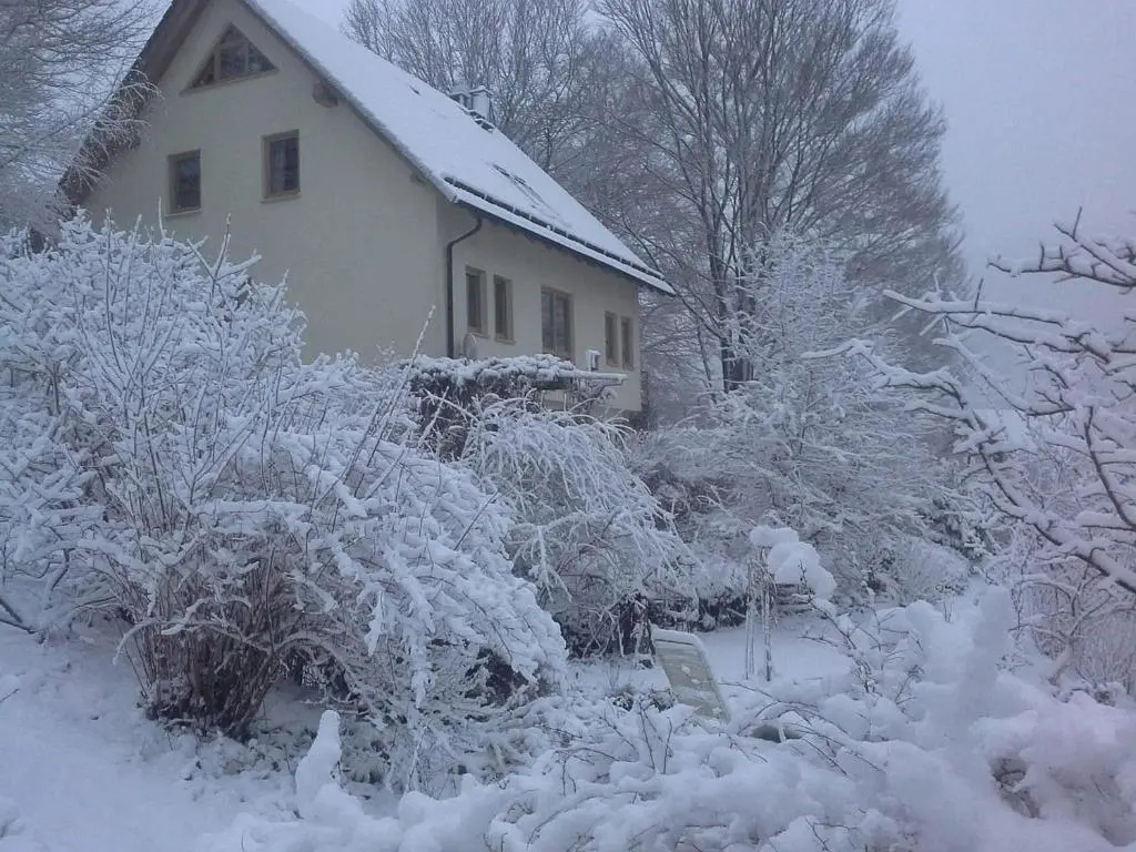 Ferienwohnung Ringbergblick