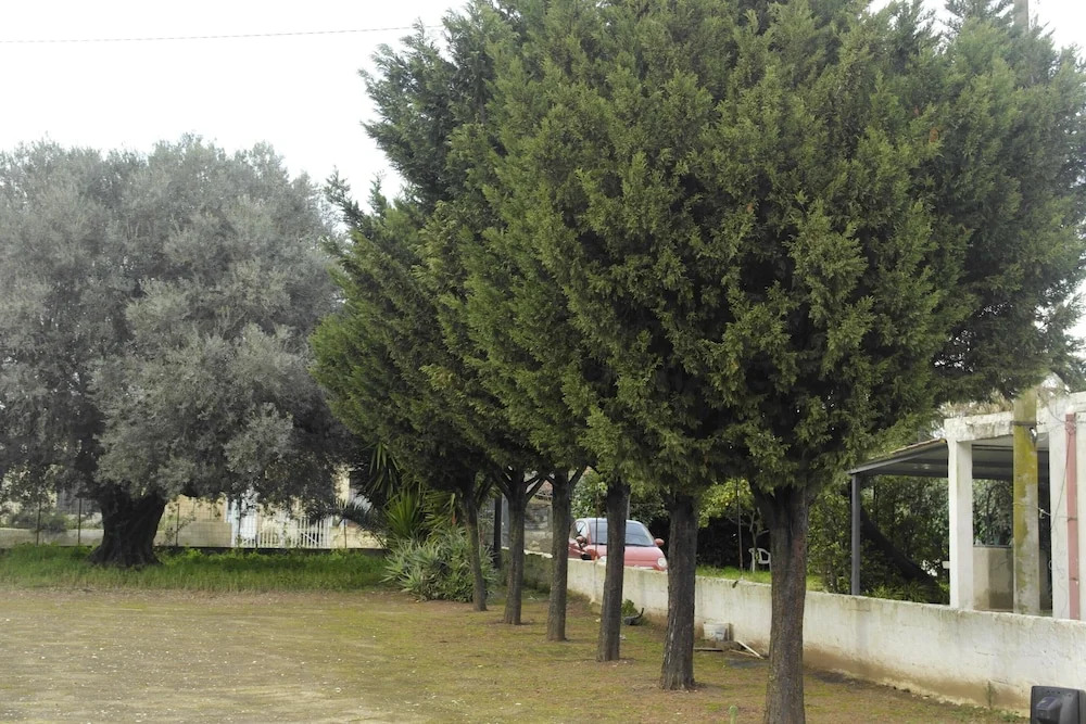 House With 2 Bedrooms In Vittoria With Enclosed Garden And Wifi 12 Km From The Beach