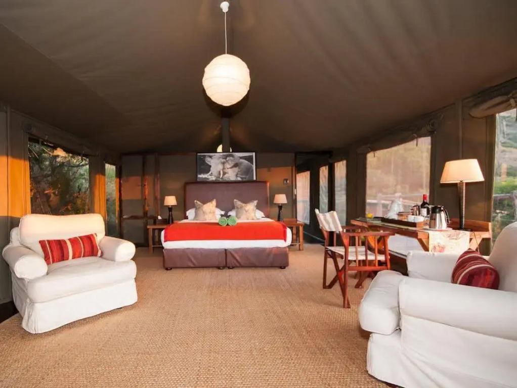 HillsNek Safari Camp - Amakhala Game Reserve