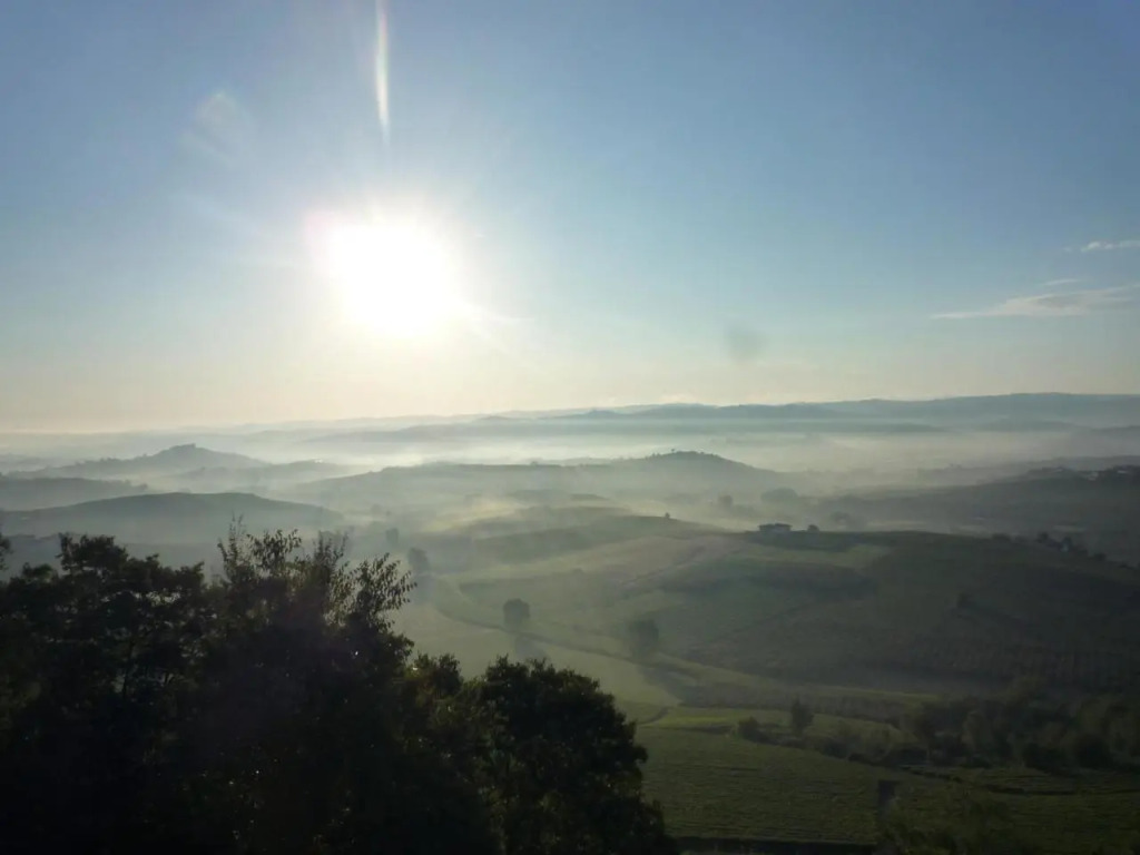La Vigna Del Parroco