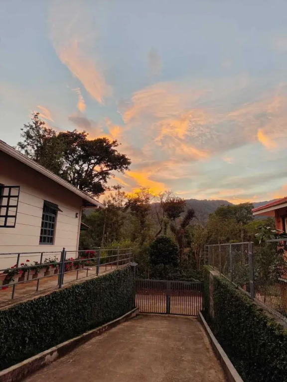 Villa #248