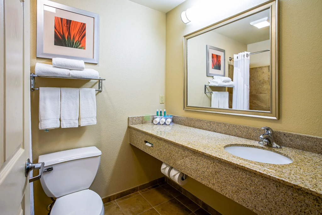 Holiday Inn Express Hotel & Suites Indianapolis North Carmel by IHG