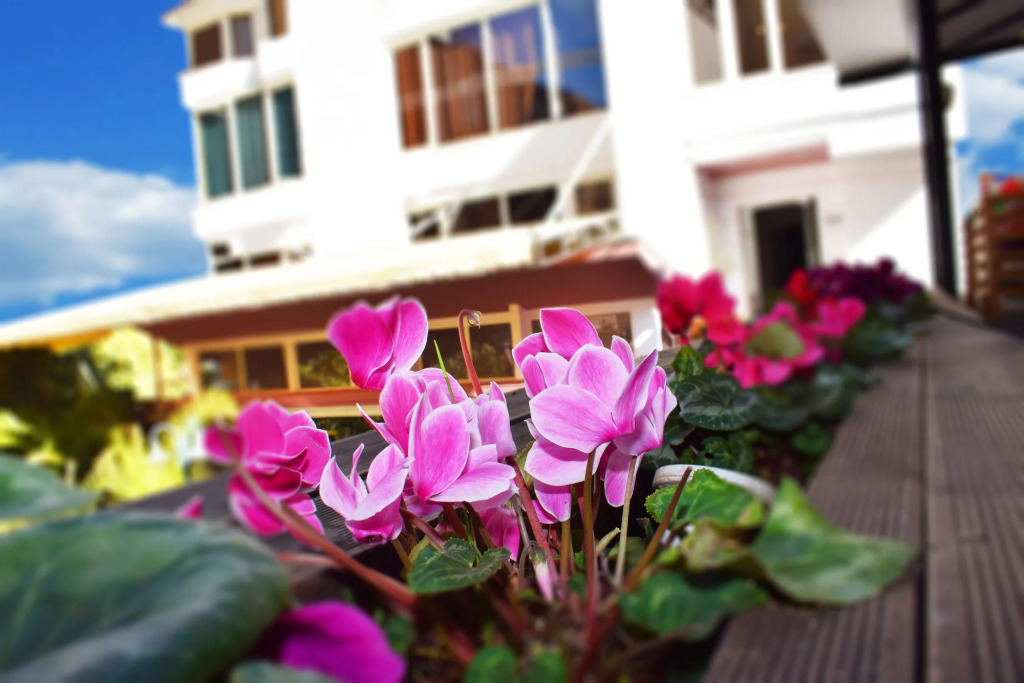 Royal Vila Hotel