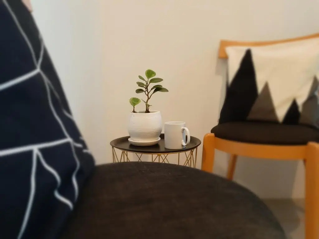 Mireya's 1BR Condo at Goshen Towers - Session Road