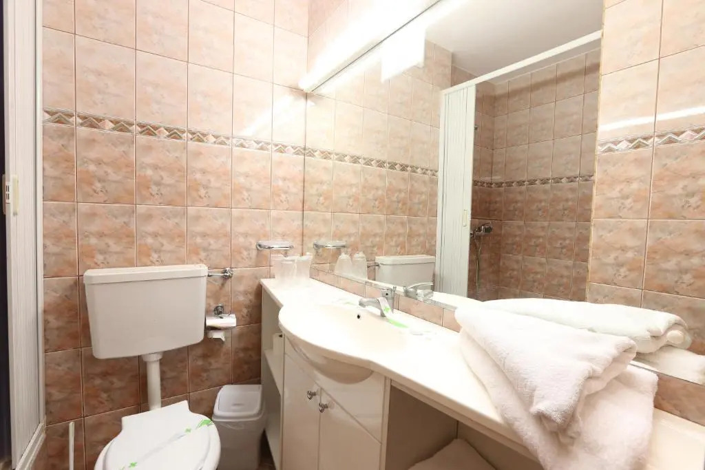 Hotel Doina