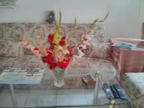 Oleander B&B