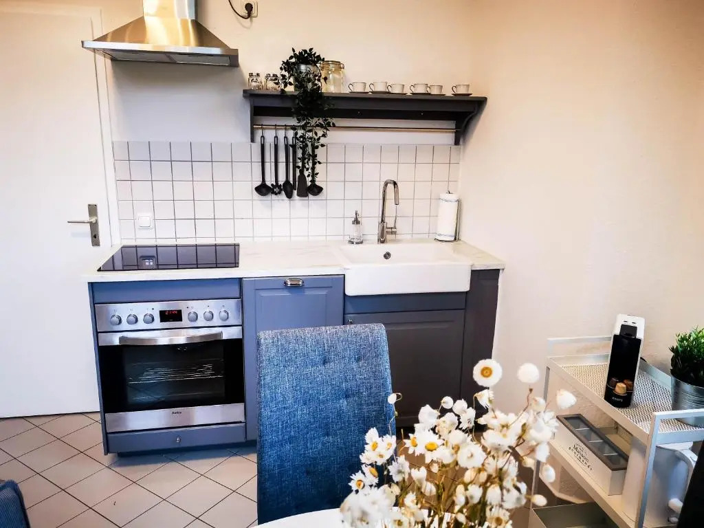 Zwickau Innenstadt Deluxe Apartment