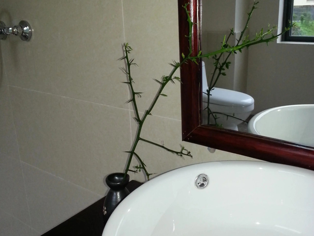 Yang Shuo Zen Valley Hotel