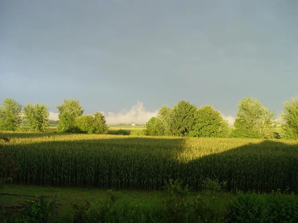 Privatzimmer mit Aussicht