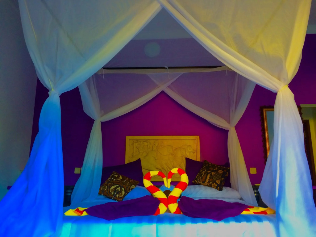 Amed Romance House