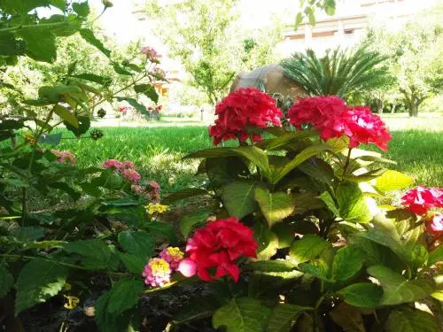 Maniatis Garden