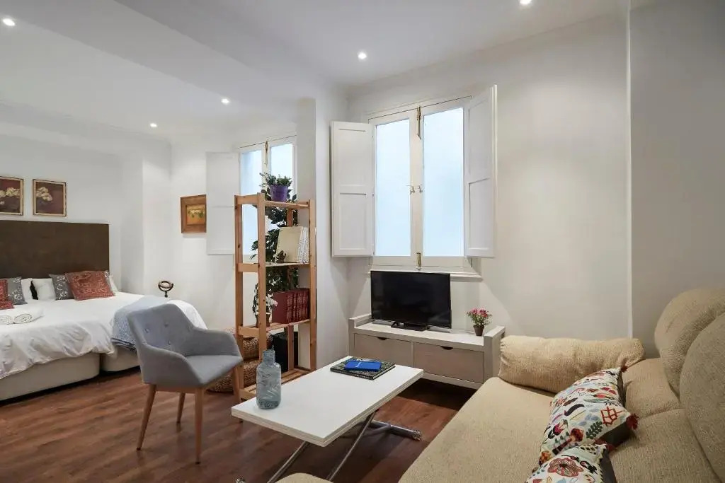LEEWAYS APARTMENT IV in ALCALÁ 99