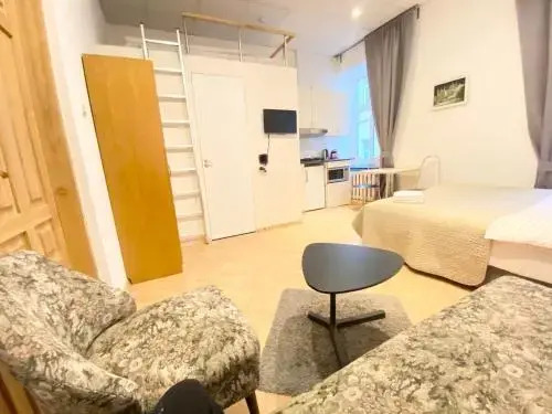 Centro apartment near Gedimas Avenue