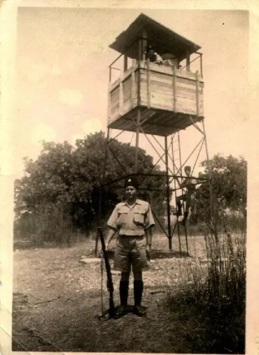 Mul Hayar