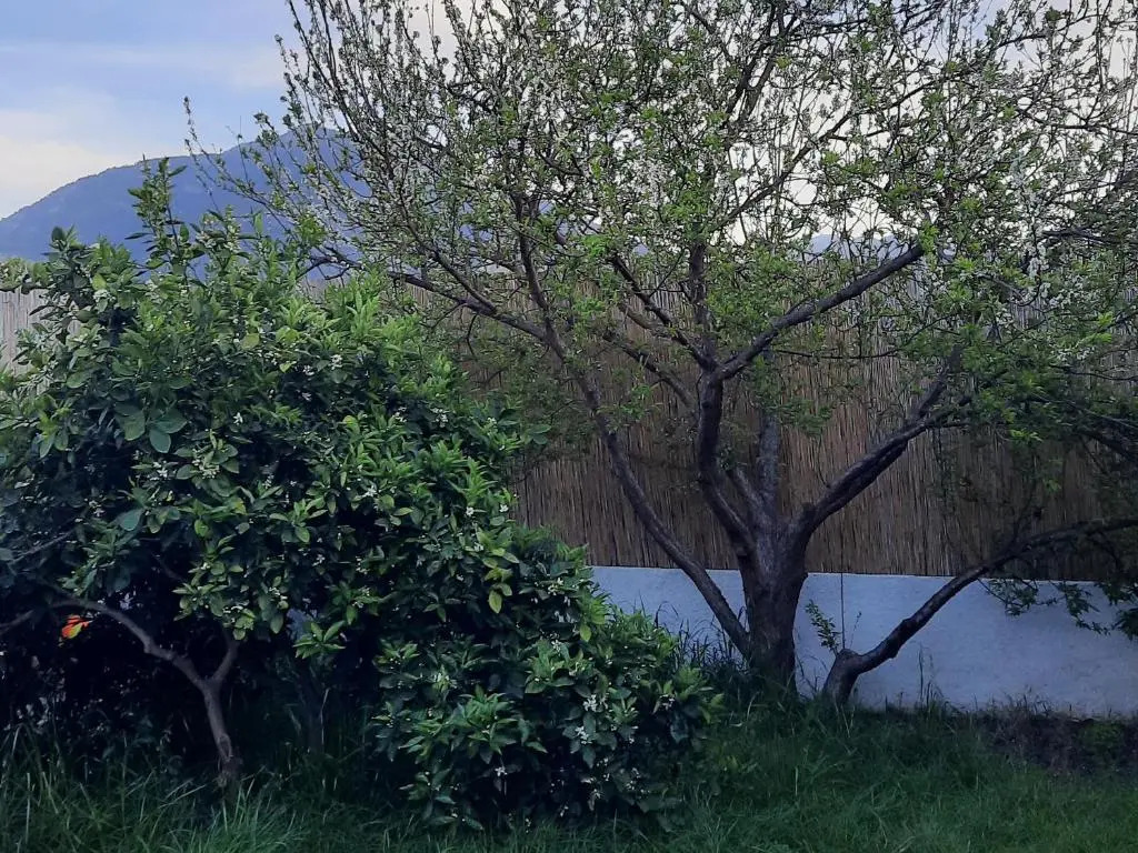 Villa elif