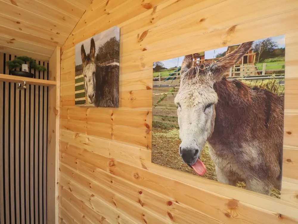 The Stable