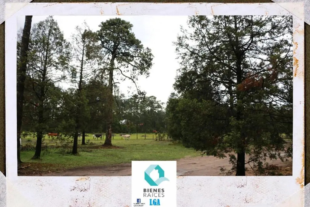 Hermosas Cabañas en Mexiquillo Durango Familiares Para 8 Personas.