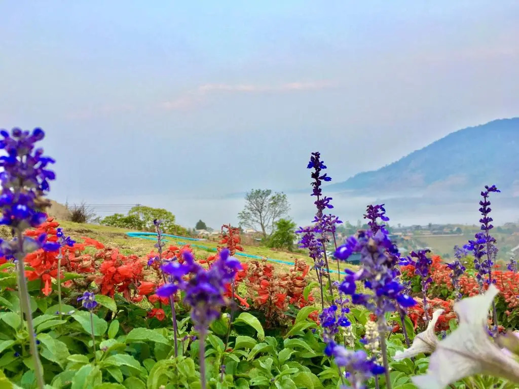 Grand Kokkod Khao Kho Resort