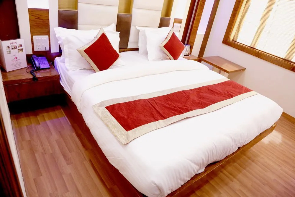 Hotel Star Villa - Front of NDLS Station & 1 Minute from Connaught Place & City Centre