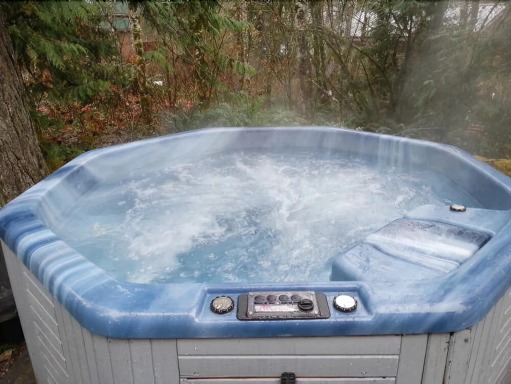 Mt. Baker Lodging