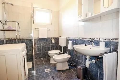 Apartment Iva