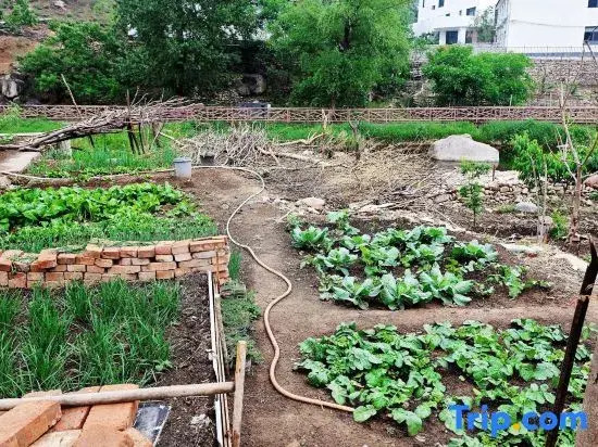 Shanxi Homestay (Shentangyu)