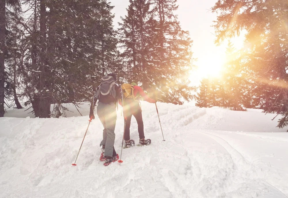 Apart Hotel Golden Lodges Rauris