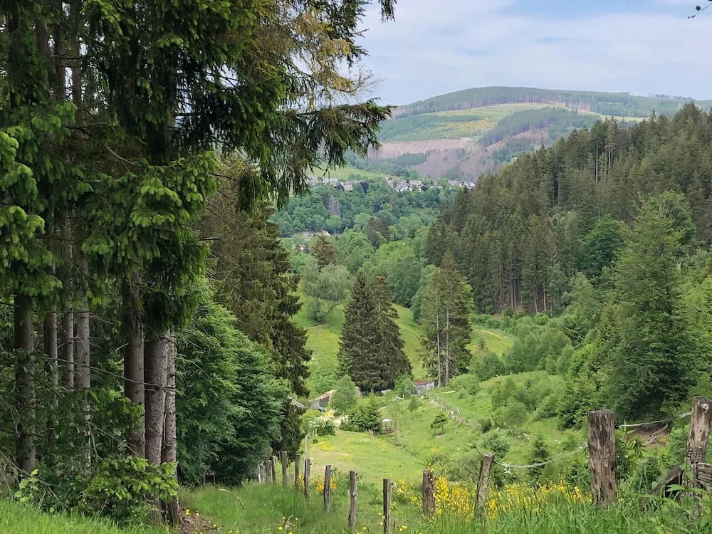 Ruckzugsort am Teich in Winterberg