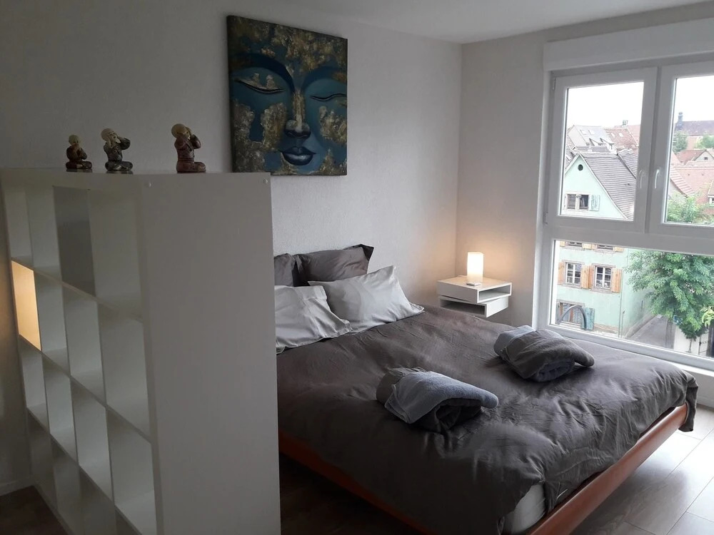 Apartment 4 With 2 Bedrooms in Colmar, With Wonderful City View, Balco