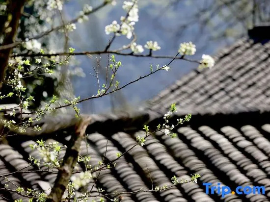 Yunfuli Yunsu·Yidao Qingcheng·camping Mountain Private Hot Spring B&B