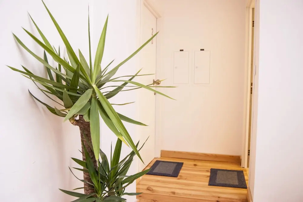 Daora Lisbon Apartaments
