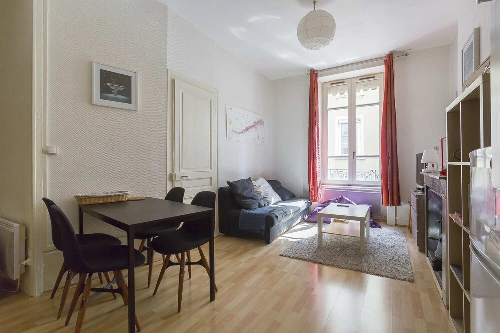 Charming 3 Room Apartment - Lyon