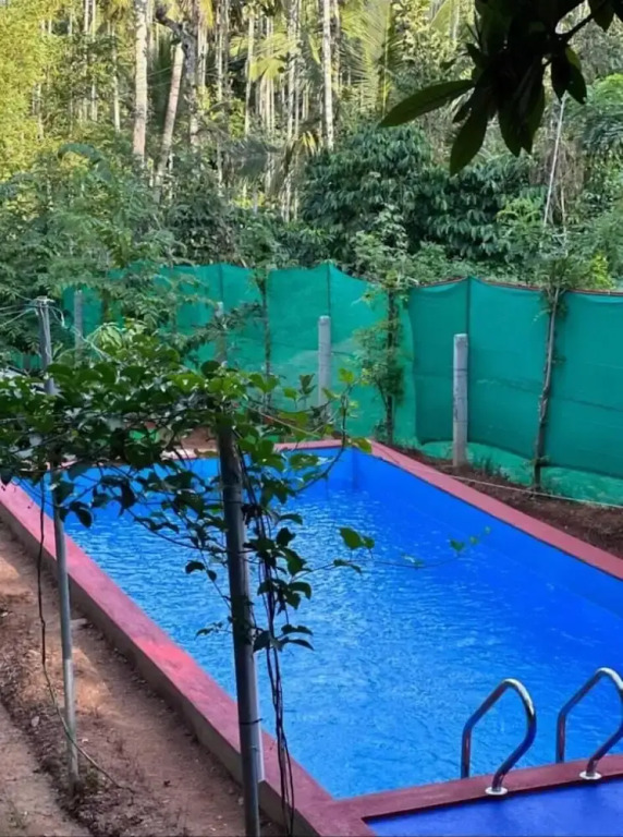 Loquat Inn Homestay