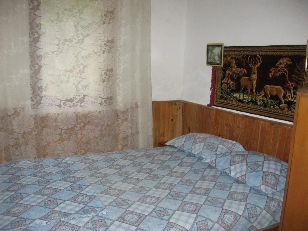Vila Tsonevi